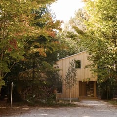 Forest Cabin at Parcel