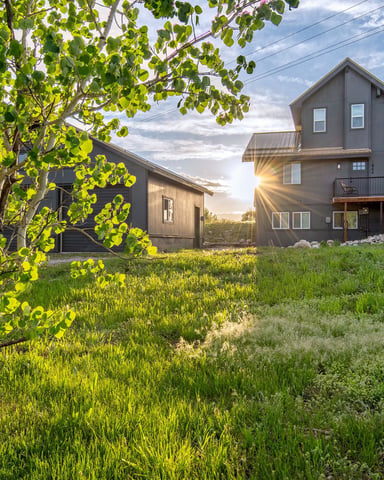 Modern dark brown houses with metal roofing on grassy property at sunset, framed by birch tree with green foliage