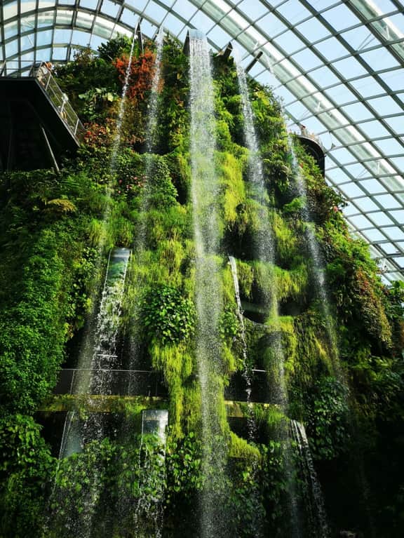 The Green House